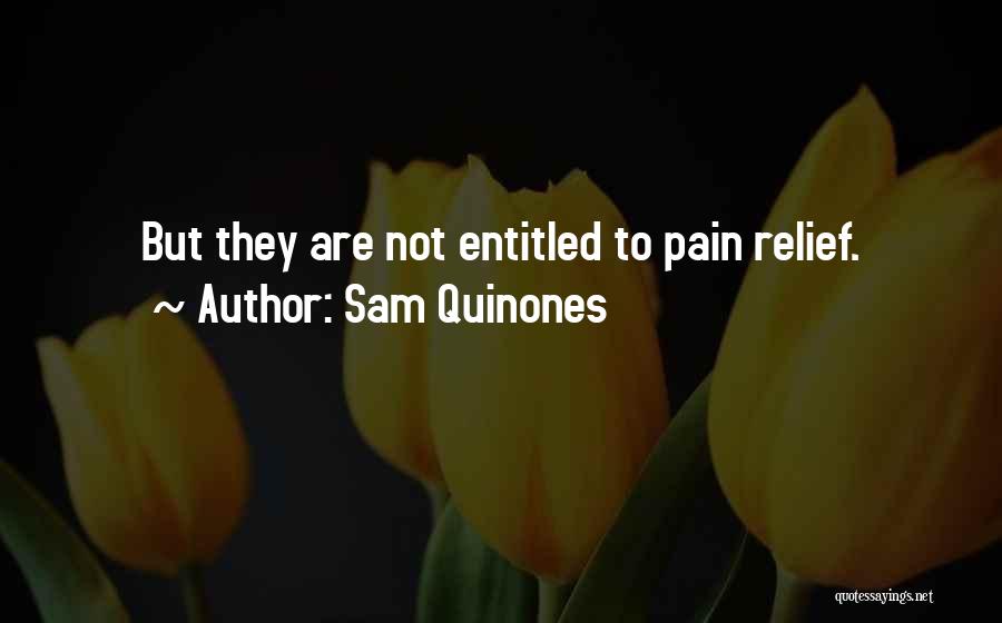 Sam Quinones Quotes: But They Are Not Entitled To Pain Relief.