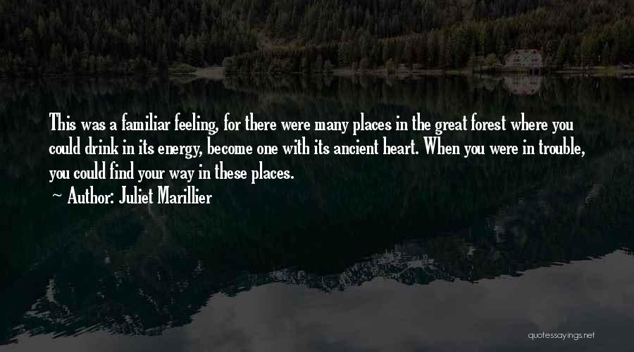 Juliet Marillier Quotes: This Was A Familiar Feeling, For There Were Many Places In The Great Forest Where You Could Drink In Its