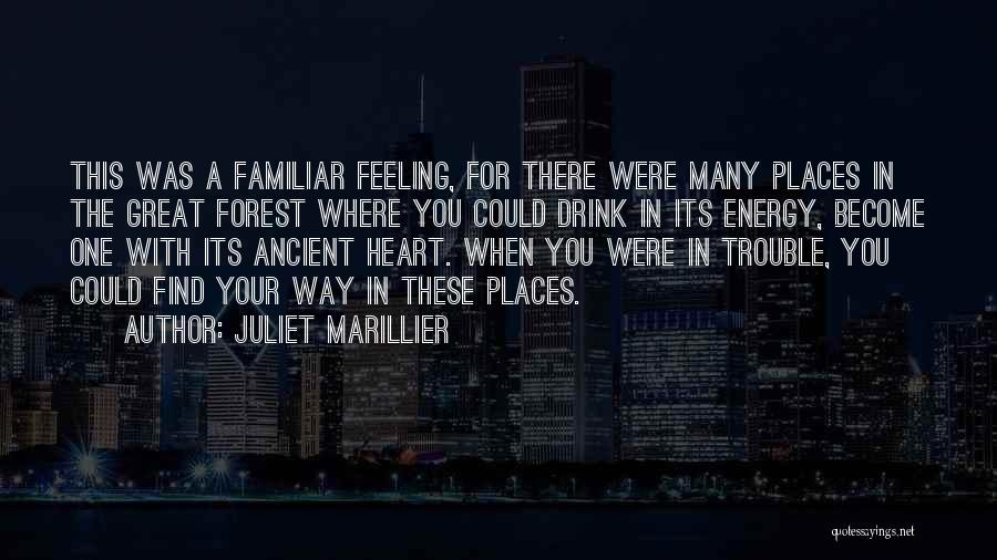 Juliet Marillier Quotes: This Was A Familiar Feeling, For There Were Many Places In The Great Forest Where You Could Drink In Its