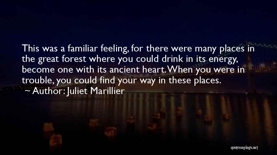 Juliet Marillier Quotes: This Was A Familiar Feeling, For There Were Many Places In The Great Forest Where You Could Drink In Its