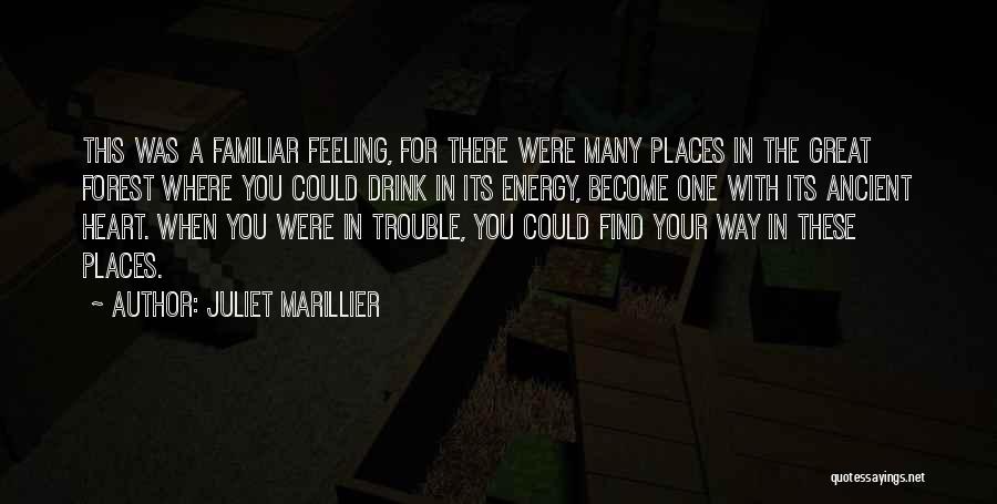 Juliet Marillier Quotes: This Was A Familiar Feeling, For There Were Many Places In The Great Forest Where You Could Drink In Its