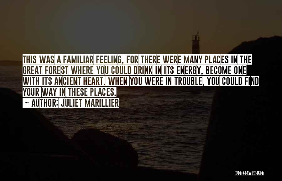 Juliet Marillier Quotes: This Was A Familiar Feeling, For There Were Many Places In The Great Forest Where You Could Drink In Its