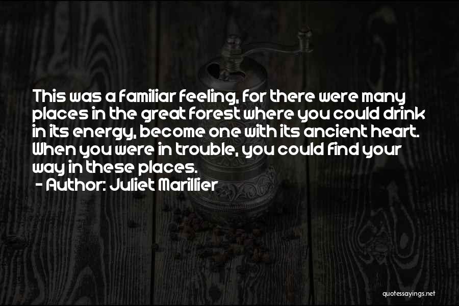 Juliet Marillier Quotes: This Was A Familiar Feeling, For There Were Many Places In The Great Forest Where You Could Drink In Its