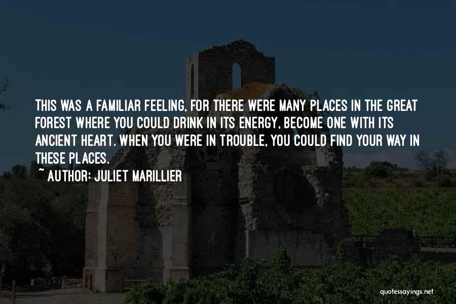 Juliet Marillier Quotes: This Was A Familiar Feeling, For There Were Many Places In The Great Forest Where You Could Drink In Its