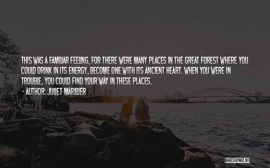 Juliet Marillier Quotes: This Was A Familiar Feeling, For There Were Many Places In The Great Forest Where You Could Drink In Its