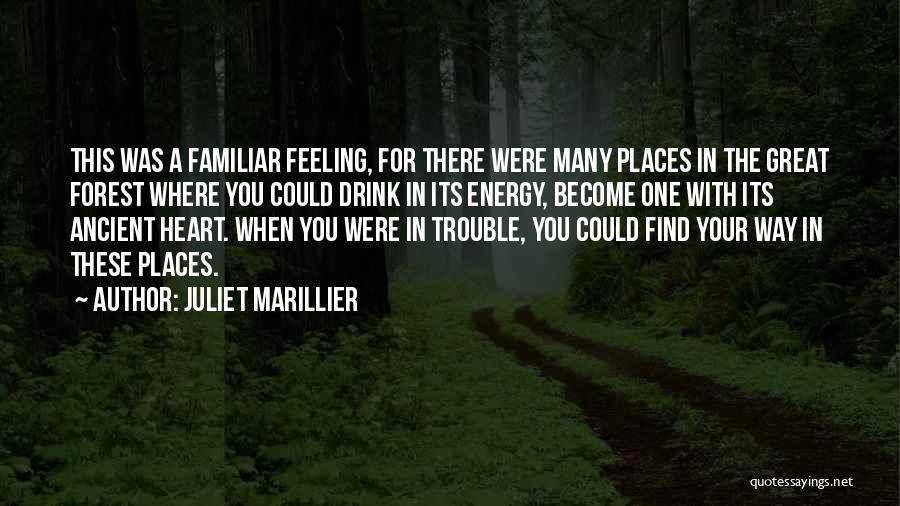 Juliet Marillier Quotes: This Was A Familiar Feeling, For There Were Many Places In The Great Forest Where You Could Drink In Its