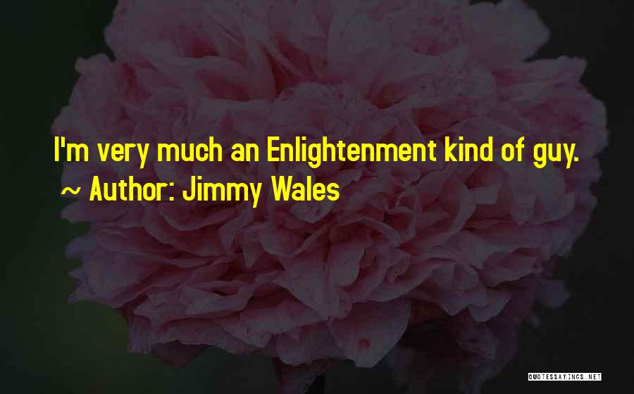 Jimmy Wales Quotes: I'm Very Much An Enlightenment Kind Of Guy.