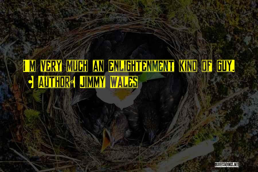 Jimmy Wales Quotes: I'm Very Much An Enlightenment Kind Of Guy.