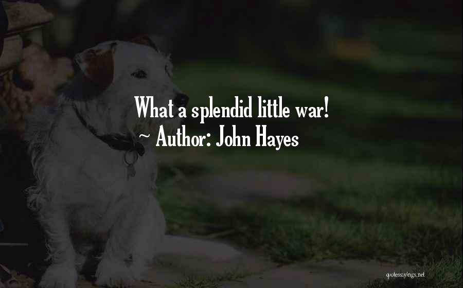 John Hayes Quotes: What A Splendid Little War!