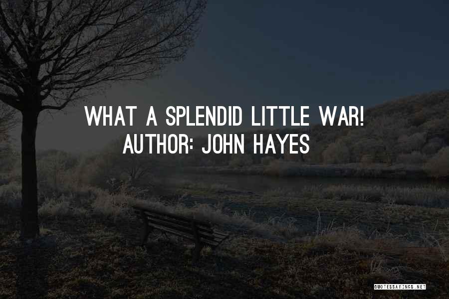 John Hayes Quotes: What A Splendid Little War!
