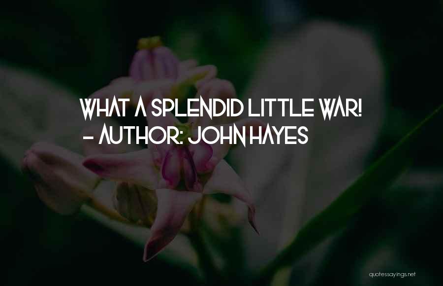 John Hayes Quotes: What A Splendid Little War!