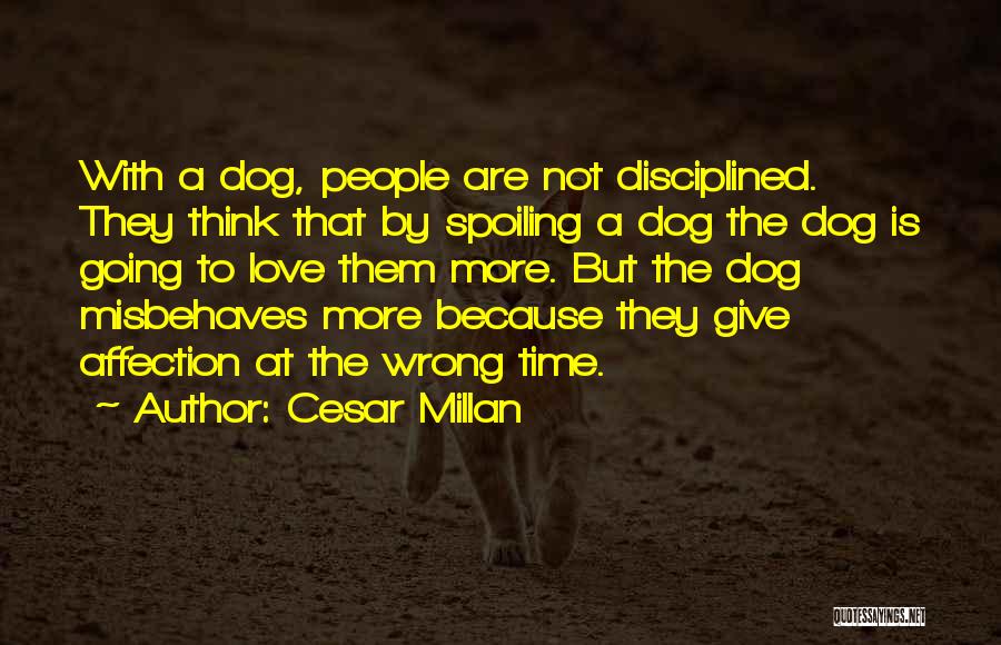 Cesar Millan Quotes: With A Dog, People Are Not Disciplined. They Think That By Spoiling A Dog The Dog Is Going To Love