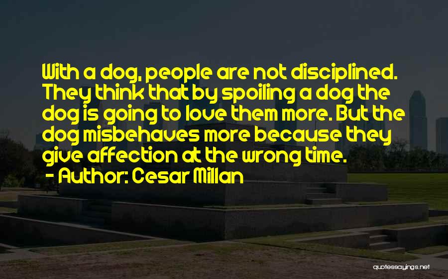 Cesar Millan Quotes: With A Dog, People Are Not Disciplined. They Think That By Spoiling A Dog The Dog Is Going To Love