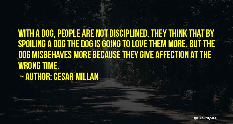 Cesar Millan Quotes: With A Dog, People Are Not Disciplined. They Think That By Spoiling A Dog The Dog Is Going To Love