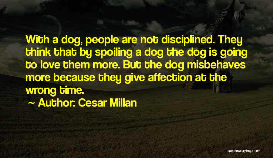 Cesar Millan Quotes: With A Dog, People Are Not Disciplined. They Think That By Spoiling A Dog The Dog Is Going To Love