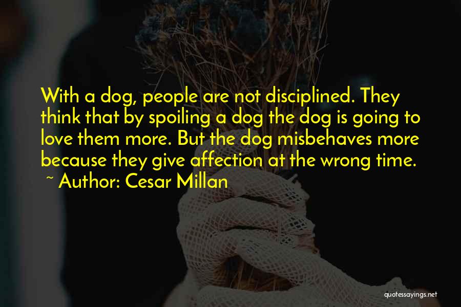Cesar Millan Quotes: With A Dog, People Are Not Disciplined. They Think That By Spoiling A Dog The Dog Is Going To Love