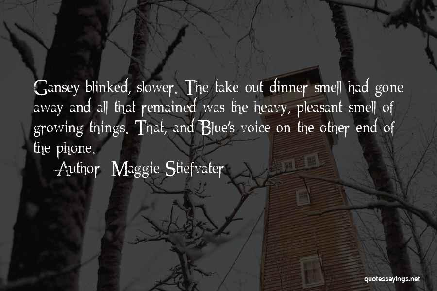 Maggie Stiefvater Quotes: Gansey Blinked, Slower. The Take-out Dinner Smell Had Gone Away And All That Remained Was The Heavy, Pleasant Smell Of