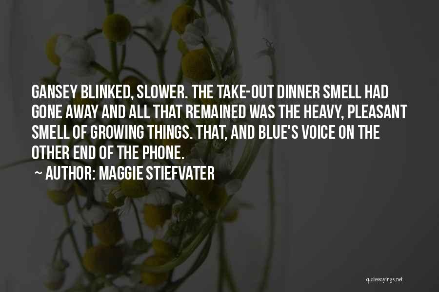 Maggie Stiefvater Quotes: Gansey Blinked, Slower. The Take-out Dinner Smell Had Gone Away And All That Remained Was The Heavy, Pleasant Smell Of