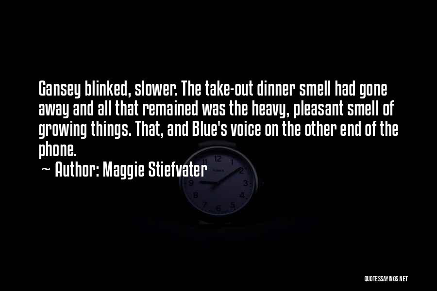 Maggie Stiefvater Quotes: Gansey Blinked, Slower. The Take-out Dinner Smell Had Gone Away And All That Remained Was The Heavy, Pleasant Smell Of