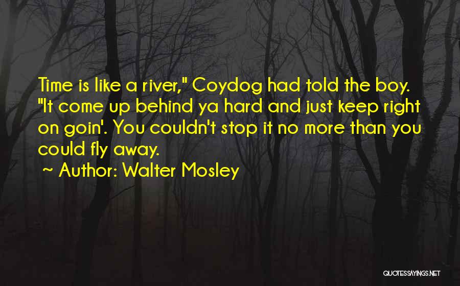 Walter Mosley Quotes: Time Is Like A River, Coydog Had Told The Boy. It Come Up Behind Ya Hard And Just Keep Right