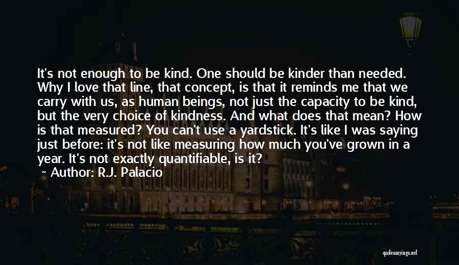 R.J. Palacio Quotes: It's Not Enough To Be Kind. One Should Be Kinder Than Needed. Why I Love That Line, That Concept, Is