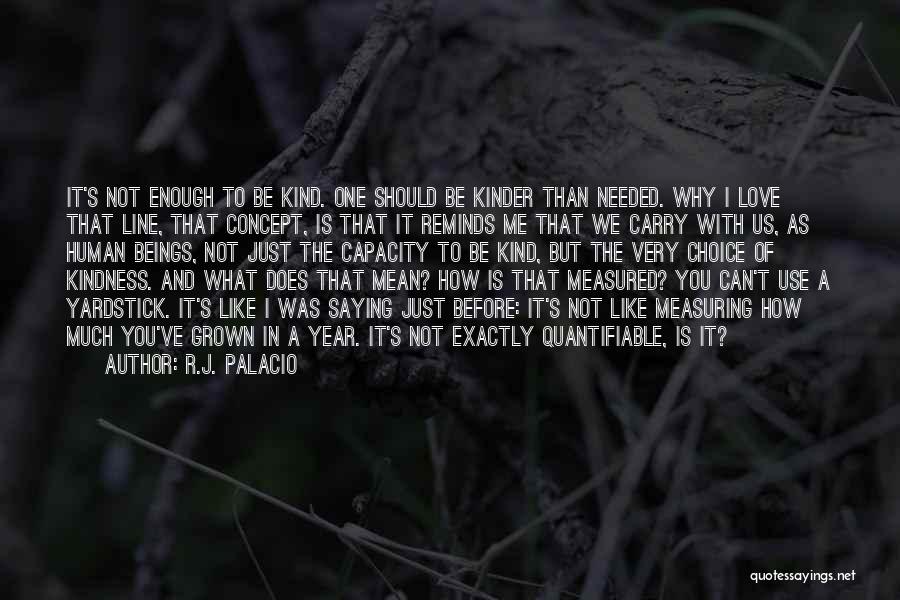 R.J. Palacio Quotes: It's Not Enough To Be Kind. One Should Be Kinder Than Needed. Why I Love That Line, That Concept, Is