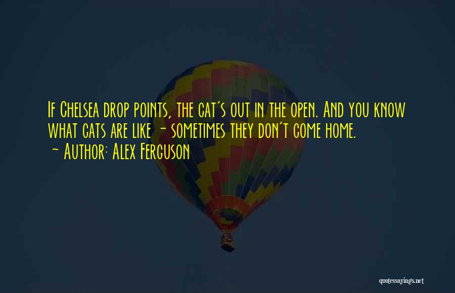 Alex Ferguson Quotes: If Chelsea Drop Points, The Cat's Out In The Open. And You Know What Cats Are Like - Sometimes They