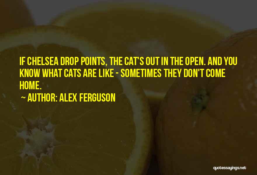 Alex Ferguson Quotes: If Chelsea Drop Points, The Cat's Out In The Open. And You Know What Cats Are Like - Sometimes They