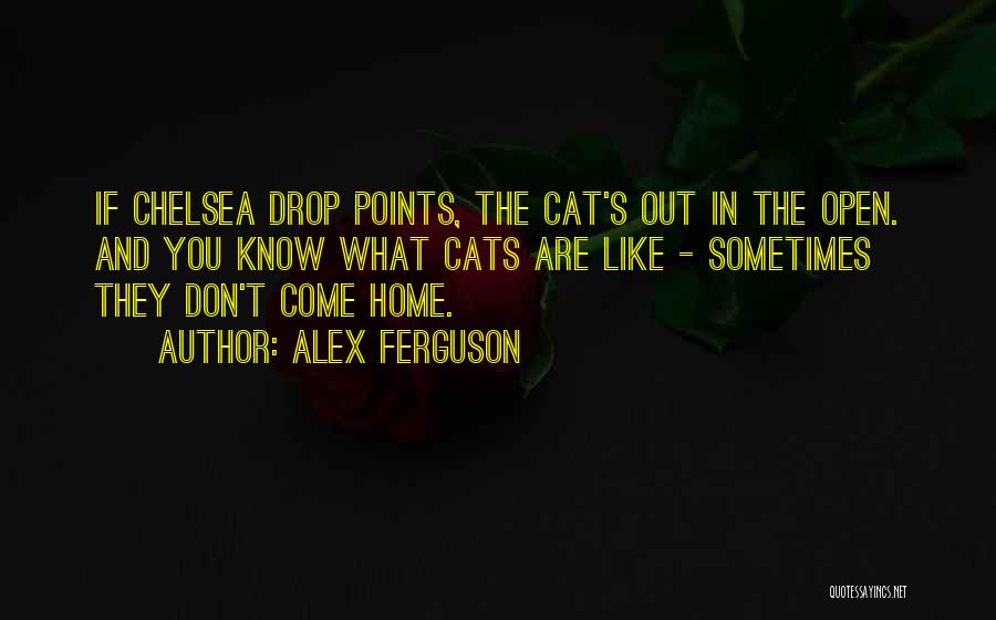 Alex Ferguson Quotes: If Chelsea Drop Points, The Cat's Out In The Open. And You Know What Cats Are Like - Sometimes They