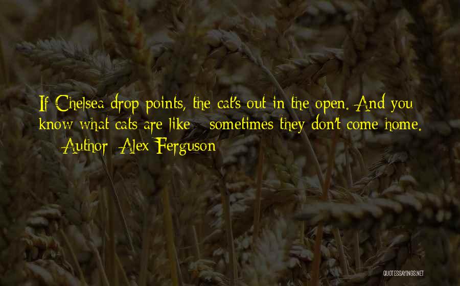 Alex Ferguson Quotes: If Chelsea Drop Points, The Cat's Out In The Open. And You Know What Cats Are Like - Sometimes They