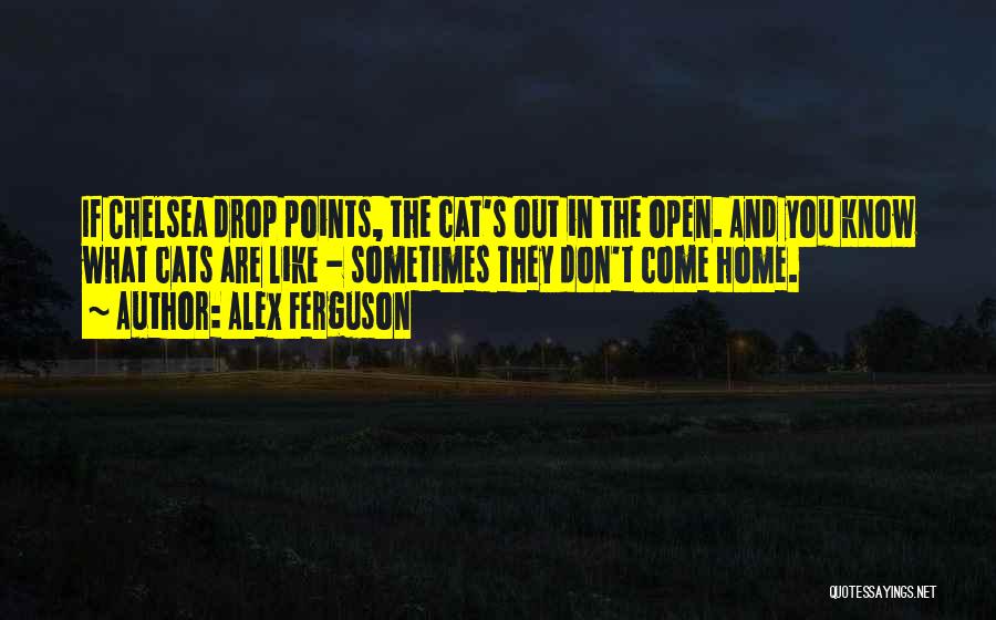 Alex Ferguson Quotes: If Chelsea Drop Points, The Cat's Out In The Open. And You Know What Cats Are Like - Sometimes They