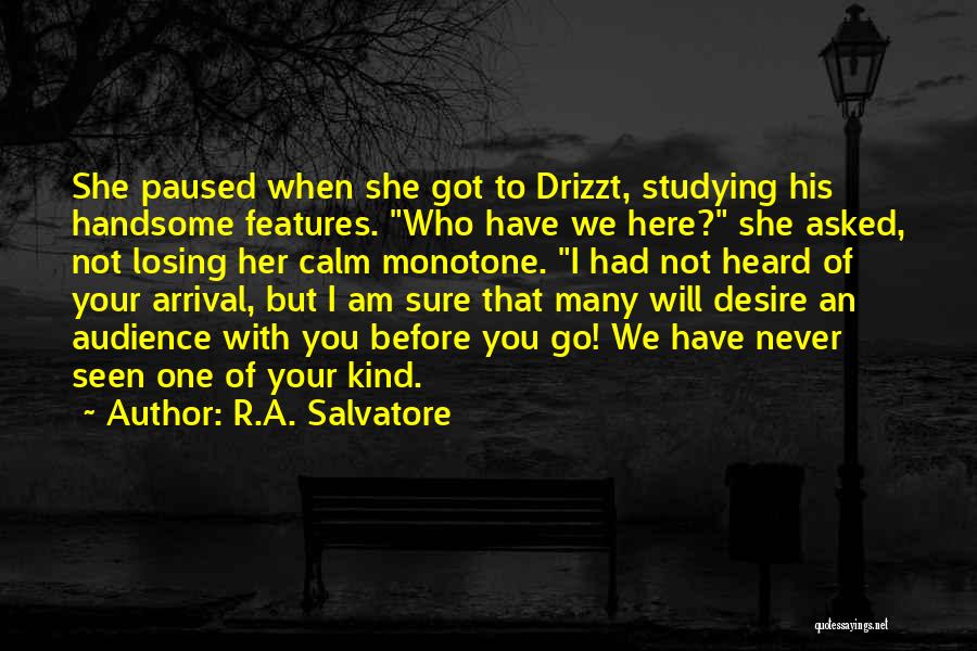 R.A. Salvatore Quotes: She Paused When She Got To Drizzt, Studying His Handsome Features. Who Have We Here? She Asked, Not Losing Her