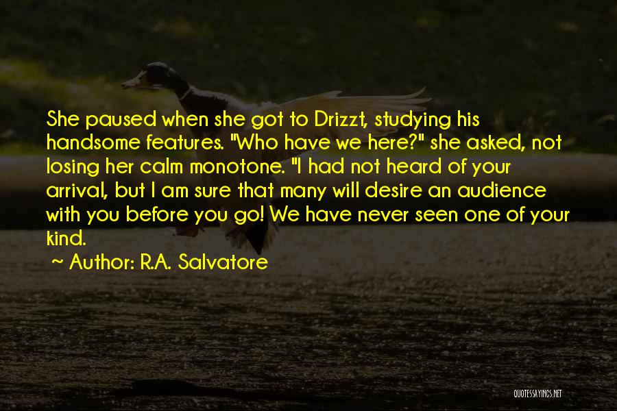 R.A. Salvatore Quotes: She Paused When She Got To Drizzt, Studying His Handsome Features. Who Have We Here? She Asked, Not Losing Her