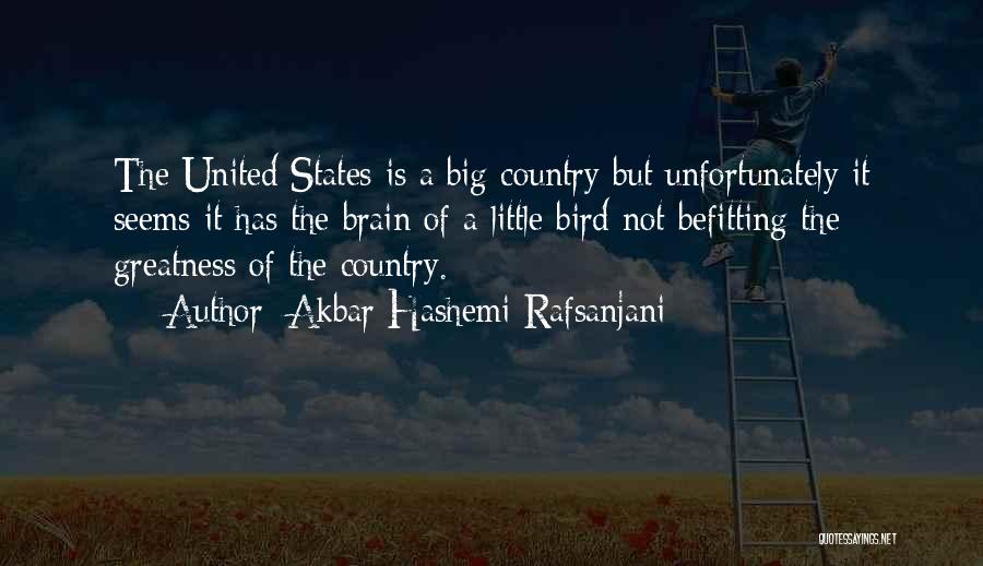 Akbar Hashemi Rafsanjani Quotes: The United States Is A Big Country But Unfortunately It Seems It Has The Brain Of A Little Bird Not