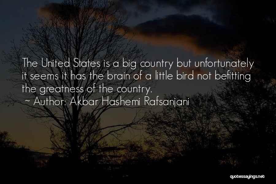 Akbar Hashemi Rafsanjani Quotes: The United States Is A Big Country But Unfortunately It Seems It Has The Brain Of A Little Bird Not