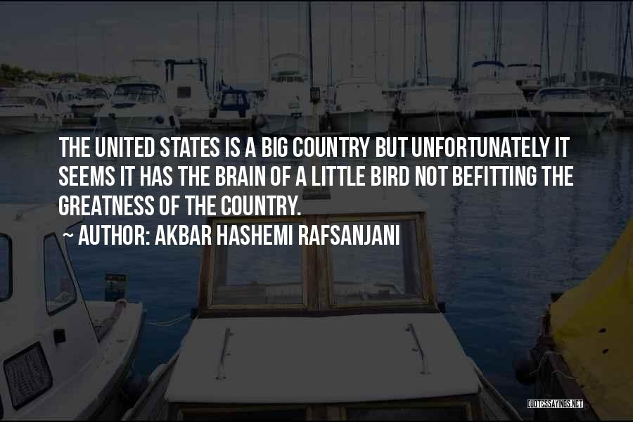 Akbar Hashemi Rafsanjani Quotes: The United States Is A Big Country But Unfortunately It Seems It Has The Brain Of A Little Bird Not