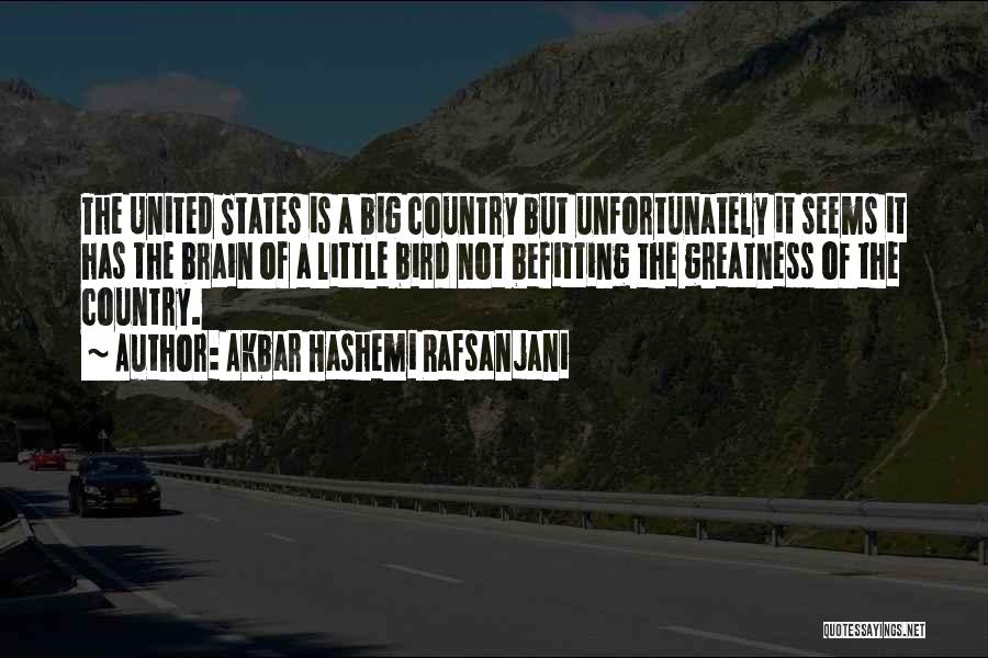 Akbar Hashemi Rafsanjani Quotes: The United States Is A Big Country But Unfortunately It Seems It Has The Brain Of A Little Bird Not