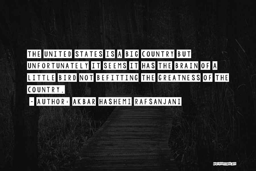 Akbar Hashemi Rafsanjani Quotes: The United States Is A Big Country But Unfortunately It Seems It Has The Brain Of A Little Bird Not