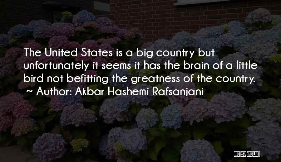 Akbar Hashemi Rafsanjani Quotes: The United States Is A Big Country But Unfortunately It Seems It Has The Brain Of A Little Bird Not