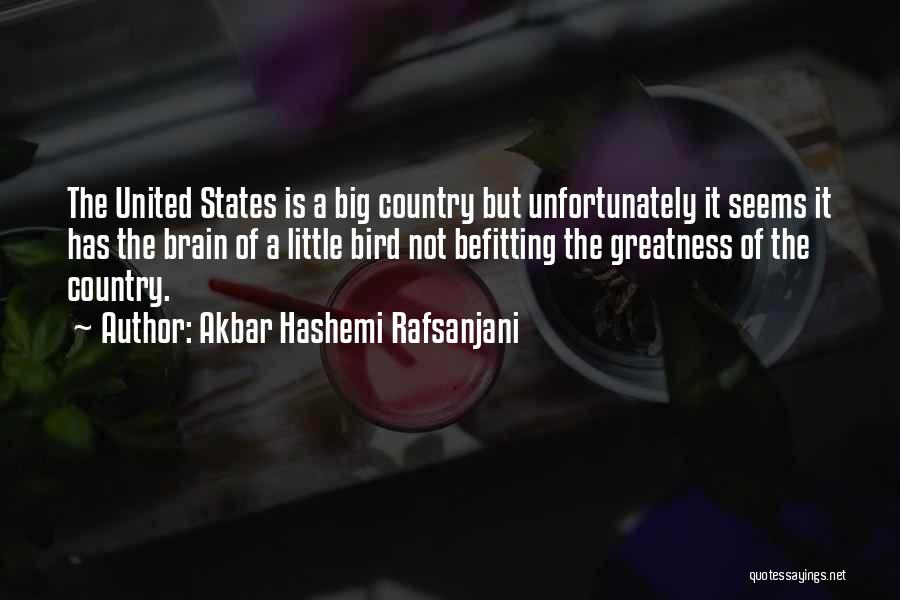 Akbar Hashemi Rafsanjani Quotes: The United States Is A Big Country But Unfortunately It Seems It Has The Brain Of A Little Bird Not