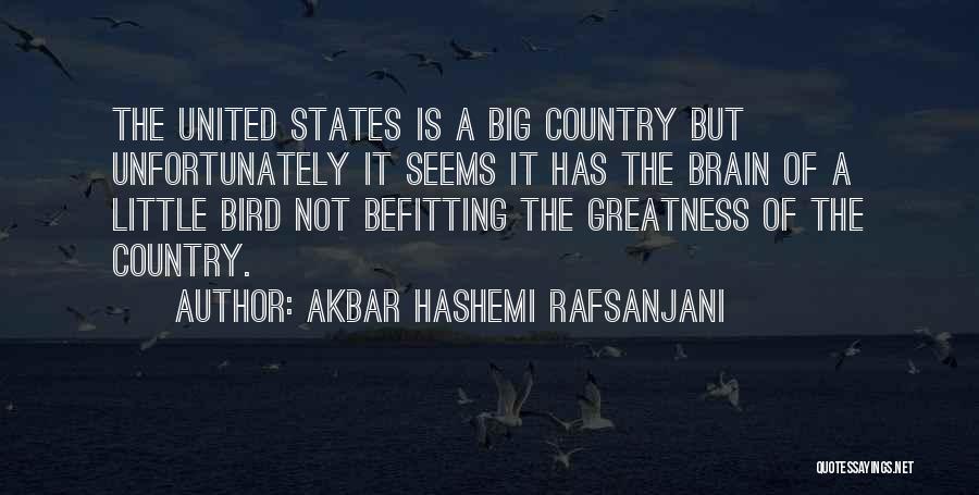 Akbar Hashemi Rafsanjani Quotes: The United States Is A Big Country But Unfortunately It Seems It Has The Brain Of A Little Bird Not