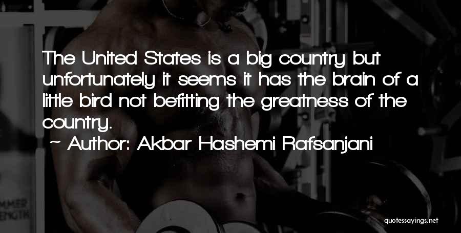 Akbar Hashemi Rafsanjani Quotes: The United States Is A Big Country But Unfortunately It Seems It Has The Brain Of A Little Bird Not