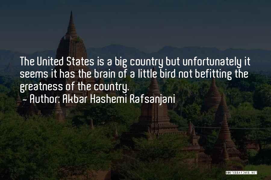 Akbar Hashemi Rafsanjani Quotes: The United States Is A Big Country But Unfortunately It Seems It Has The Brain Of A Little Bird Not