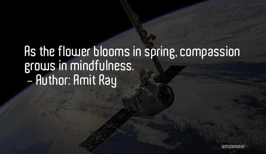 Amit Ray Quotes: As The Flower Blooms In Spring, Compassion Grows In Mindfulness.