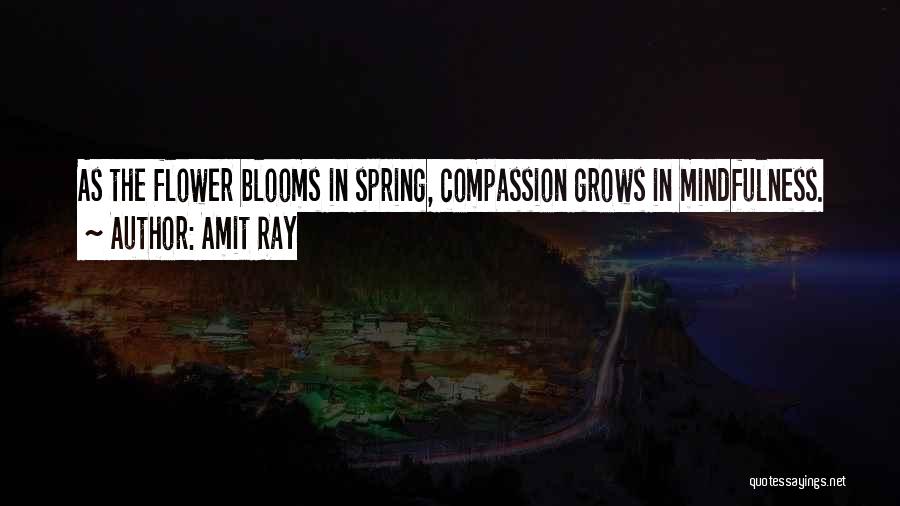 Amit Ray Quotes: As The Flower Blooms In Spring, Compassion Grows In Mindfulness.