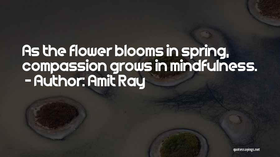 Amit Ray Quotes: As The Flower Blooms In Spring, Compassion Grows In Mindfulness.