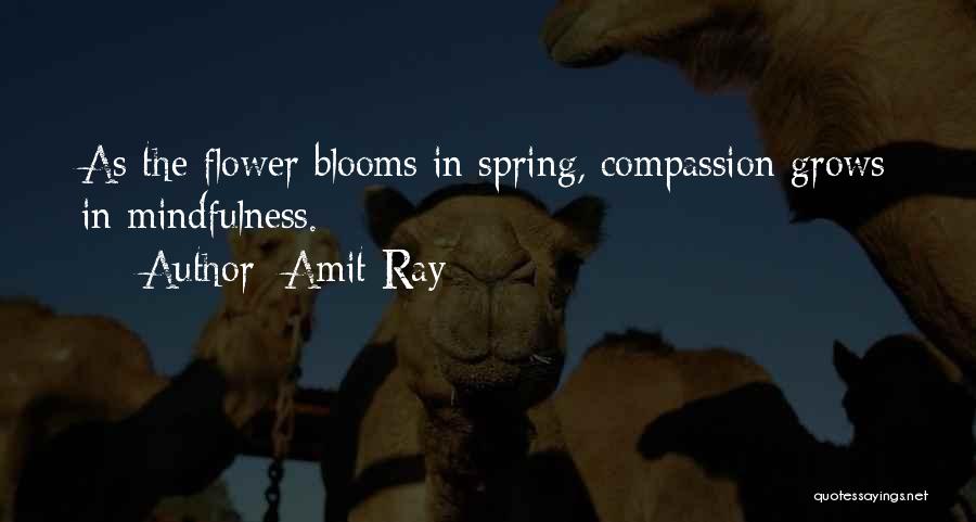 Amit Ray Quotes: As The Flower Blooms In Spring, Compassion Grows In Mindfulness.