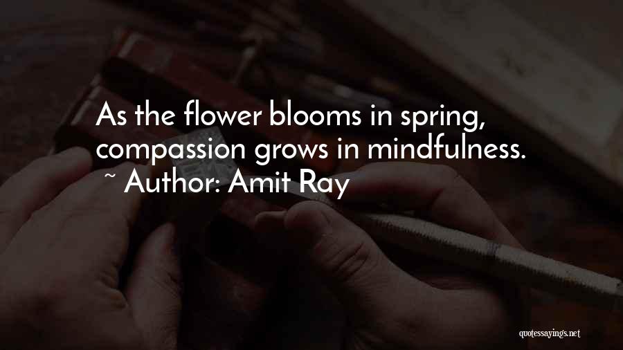 Amit Ray Quotes: As The Flower Blooms In Spring, Compassion Grows In Mindfulness.