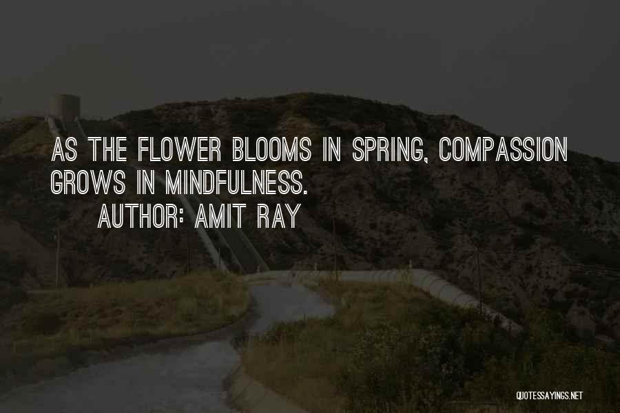 Amit Ray Quotes: As The Flower Blooms In Spring, Compassion Grows In Mindfulness.