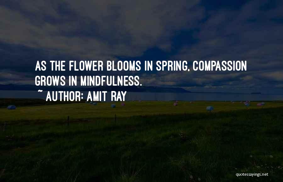 Amit Ray Quotes: As The Flower Blooms In Spring, Compassion Grows In Mindfulness.